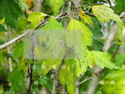 法院凍結(jié)資產(chǎn)會凍結(jié)信用卡嗎（信用卡逾期名下的資產(chǎn)會凍結(jié)嗎）