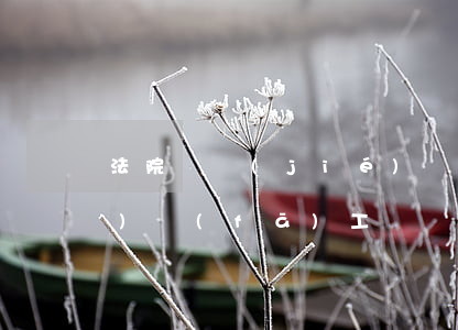 法院凍結(jié)資金可以用來(lái)發(fā)工資嗎(法院凍結(jié)資金可以用來(lái)發(fā)工資嗎)