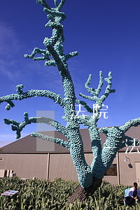 法院凍結(jié)賬戶信用卡還不上怎么辦-法院凍結(jié)賬戶信用卡還不上怎么辦呢