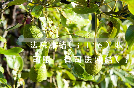 法院凍結(jié)賬戶可以另外開戶嗎(公司賬戶有司法凍結(jié)還能在其他銀行開戶嗎)