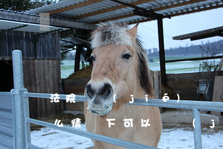 法院凍結(jié)賬戶可以存取嗎(法院什么情況下可以凍結(jié)銀行賬戶)