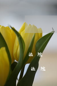 法院凍結(jié)銀行卡余額可以劃走嗎(法院凍結(jié)的銀行卡里面的錢會劃走嗎)