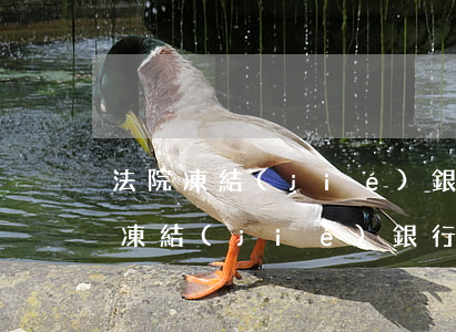 法院凍結(jié)銀行卡可以掛失嗎(法院凍結(jié)銀行卡可以掛失嗎)