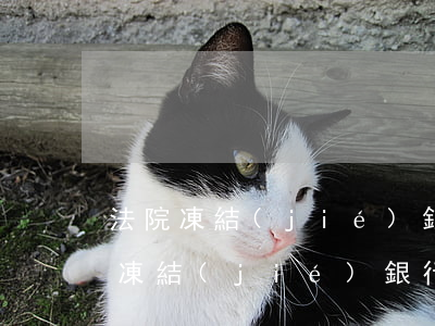 法院凍結(jié)銀行卡可以永久嗎(司法凍結(jié)銀行卡會永久凍結(jié)嗎)
