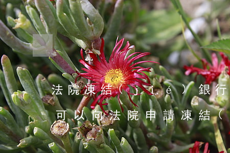 法院凍結(jié)銀行卡可以要回部分嗎(可以向法院申請凍結(jié)部分銀行卡金額嗎)