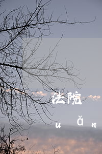 法院凍結(jié)銀行賬戶可以永遠(yuǎn)凍解嗎(法院凍結(jié)銀行賬戶可以永遠(yuǎn)凍解嗎)