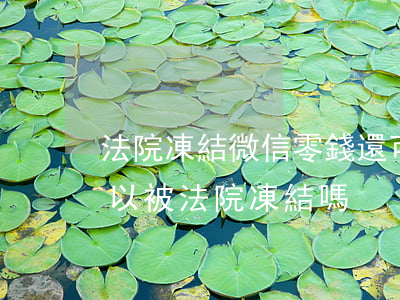 法院凍結微信零錢還可以用嗎(微信零錢也可以被法院凍結嗎)