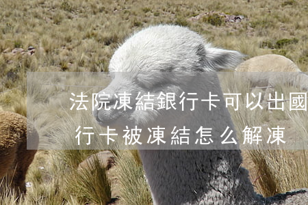 法院凍結銀行卡可以出國嗎(如本人在國外,銀行卡被凍結怎么解凍)