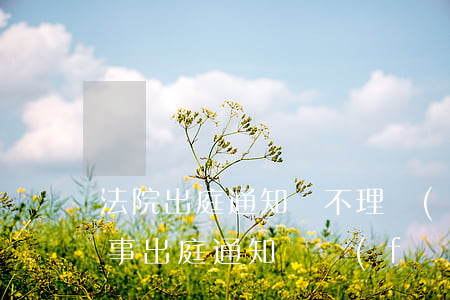 法院出庭通知書不理會(huì)可以嗎(民事出庭通知書發(fā)給誰)
