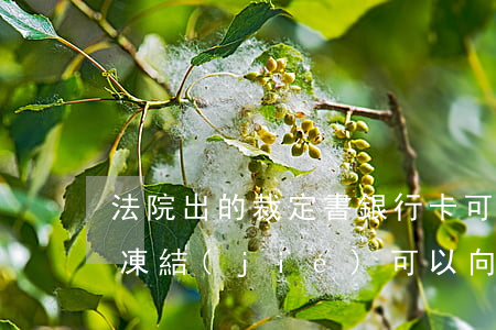 法院出的裁定書銀行卡可以解凍嗎(銀行卡被凍結(jié)可以向法院申請(qǐng)解凍嗎)