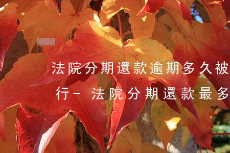 法院分期還款逾期多久被強制執(zhí)行-法院分期還款最多幾年