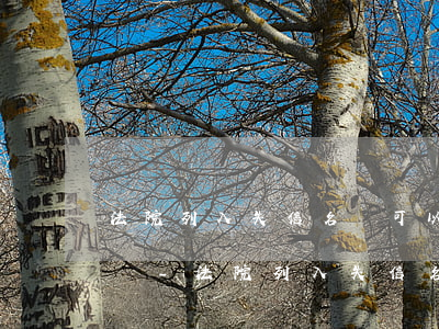 法院列入失信名單可以協(xié)商還款嗎-法院列入失信名單可以協(xié)商還款嗎怎么辦