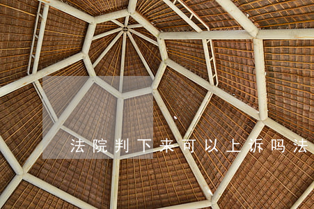 法院判下来可以上诉吗(法院判了上诉有用吗)