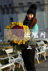法院判不離可以上訴嗎(離婚判決不同意可以上訴么)