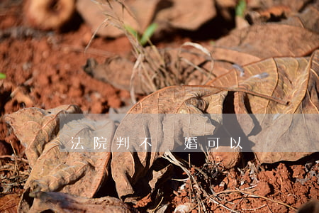 法院判不離婚可以談戀愛嗎(離婚法院不給判離)