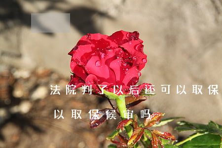 法院判了以后还可以取保吗(法院判刑了还可以取保候审吗)