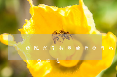 法院判了取保的押金可以退了嗎(法院取保保證金能退嗎)