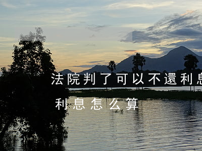 法院判了可以不還利息嗎(判決生效后不還款利息怎么算)