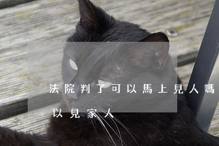 法院判了可以馬上見人嗎(法院判了后多久可以見家人)