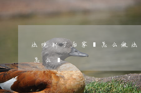 法院判了后家屬怎么做(法院判了家屬不知道怎么辦)