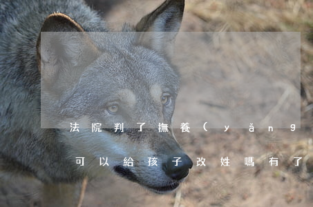 法院判了撫養(yǎng)權(quán)可以給孩子改姓嗎(有了孩子的撫養(yǎng)權(quán),可以給他改姓嗎?)