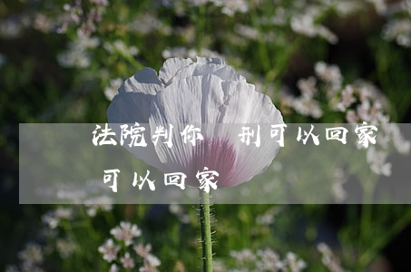 法院判你緩刑可以回家過年嗎(緩刑宣判后 人可以回家嗎)