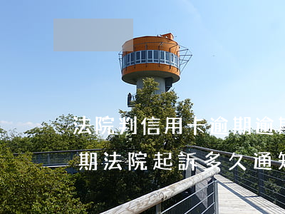 法院判信用卡逾期逾期利息支持嗎（信用卡逾期法院起訴多久通知）