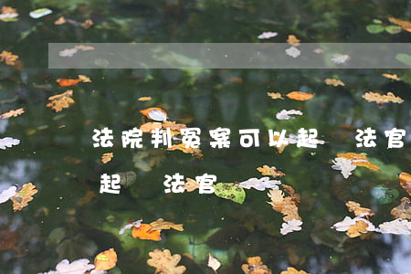 法院判冤案可以起訴法官嗎(法院判冤案可以起訴法官嗎)