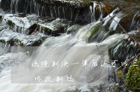 法院判决一年后还可以上诉吗(判一年上诉可以改判吗)
