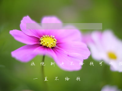 法院判决不给钱可以报警吗(法院判决后对方一直不给钱)