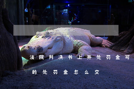 法院判决书上并处罚金可以不交吗(法院判决的处罚金怎么交)