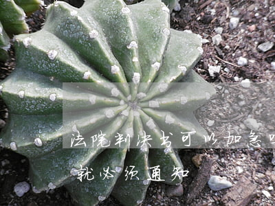 法院判决书可以加急吗(法院判决书最迟多久就必须通知)