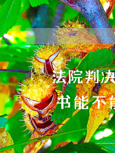 法院判决书可以房产更名过户吗(法院的判决书能不能办理房产过户)