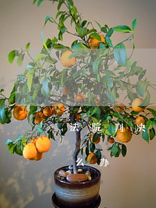 法院判决书可以收回吗(判决书下来又收回怎么办)