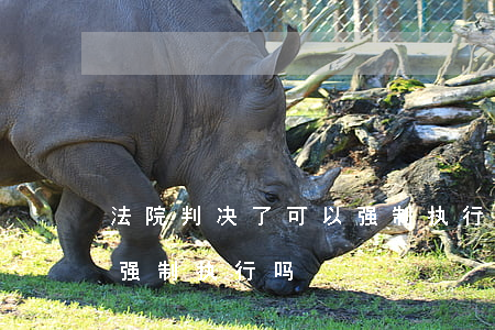 法院判决了可以强制执行吗(法院判决了可以强制执行吗)