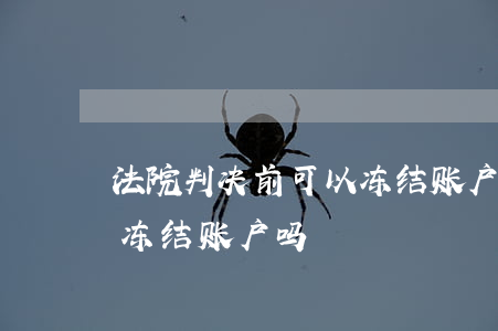 法院判决前可以冻结账户吗(法院判决前可以冻结账户吗)