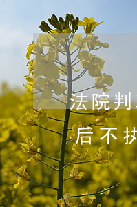 法院判决后不履行,延期利息怎么算（法院判决后不执行逾期利息怎么算）