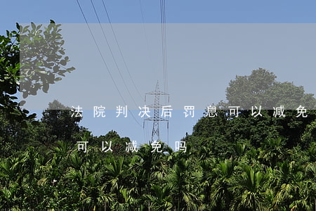 法院判决后罚息可以减免吗(法院判处的罚金可以减免吗)