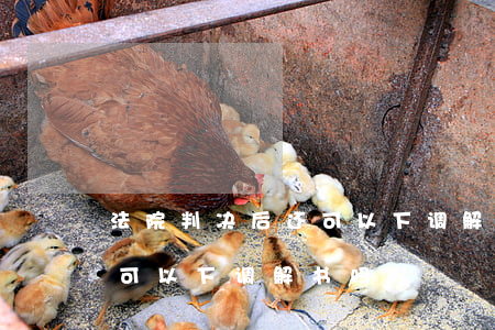 法院判决后还可以下调解书吗(法院判决后还可以下调解书吗)