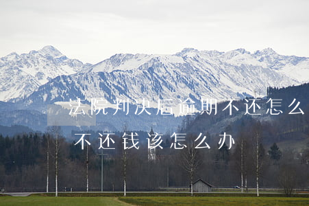 法院判决后逾期不还怎么办(法院判决后到期不还钱该怎么办)