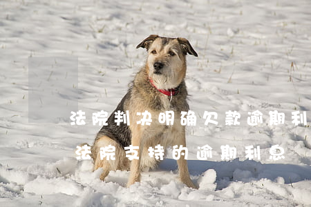 法院判决明确欠款,逾期利息有哪些规定?（当前法院支持的逾期利息）