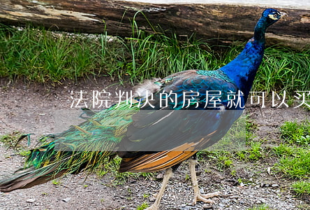 法院判决的房屋就可以买卖吗