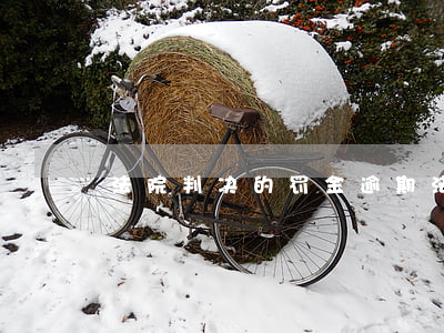 法院判决的罚金逾期(法院判决处罚金)