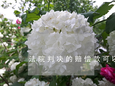 法院判决的赔偿款可以税前扣除吗