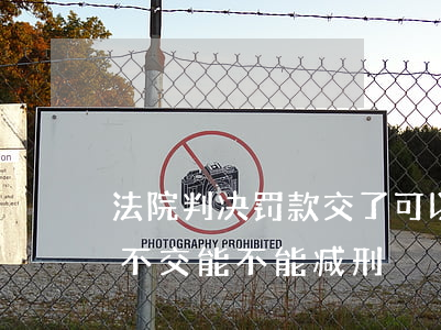 法院判决罚款交了可以减邢吗(判刑了有罚款不交能不能减刑)