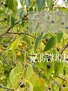 法院判决赔偿逾期利息(逾期履行判决利息)