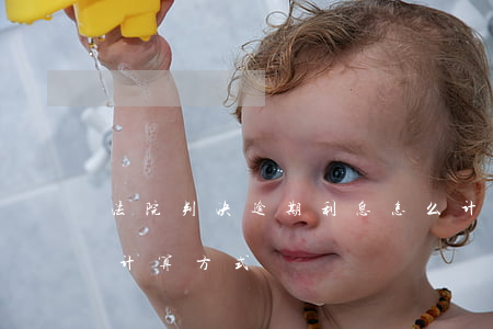 法院判决逾期利息怎么计算器(判决逾期利息计算方式)