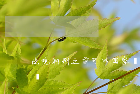法院判刑之前可以回家嗎(判刑過年可以回家嗎)