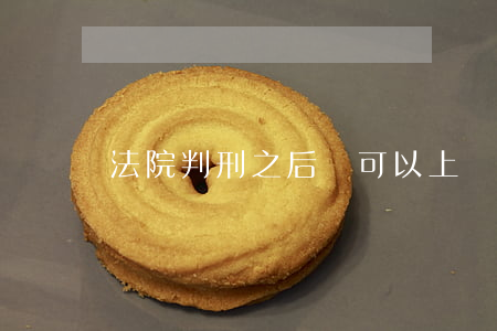 法院判刑之后還可以上訴嗎(判刑了還可以上訴嗎)
