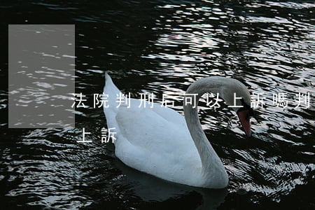 法院判刑后可以上訴嗎(判刑生效后多久不能上訴)